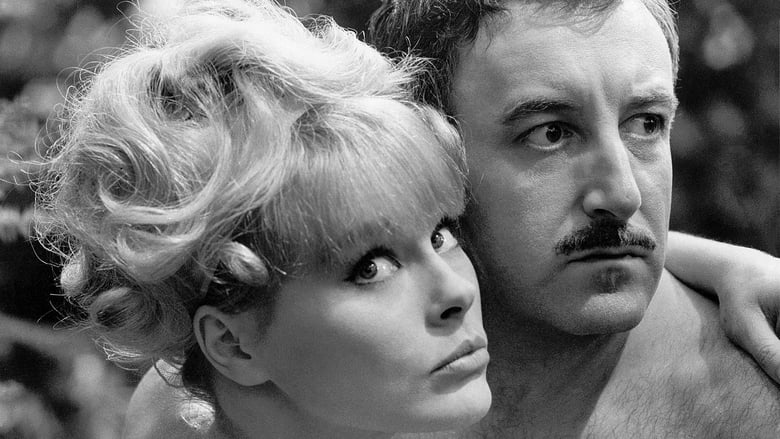 A Shot in the Dark A Shot in the Dark